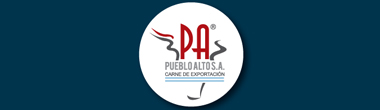Pueblo Alto S.A.